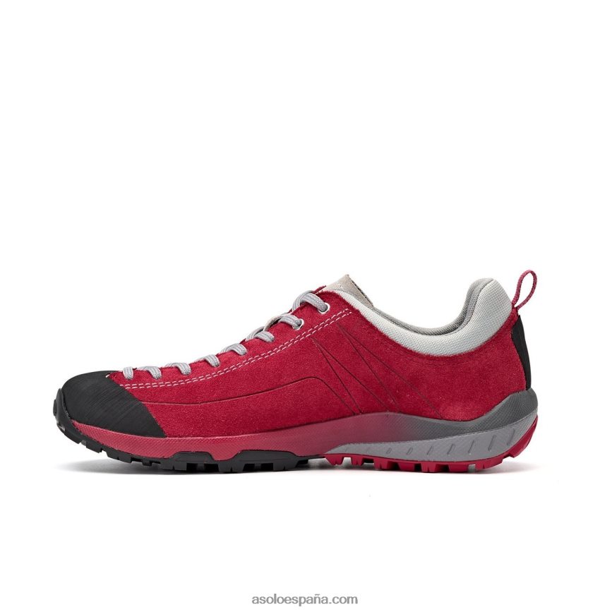 Asolo espacio gv mujeres H4BXX0126 gerberas