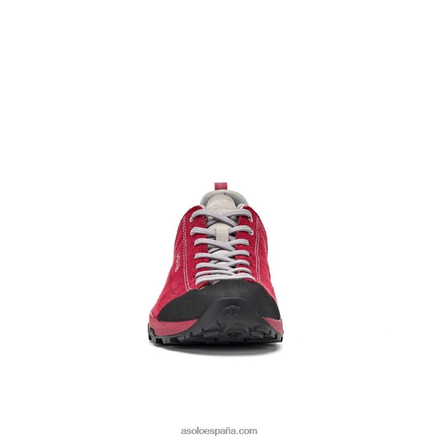 Asolo espacio gv mujeres H4BXX0126 gerberas